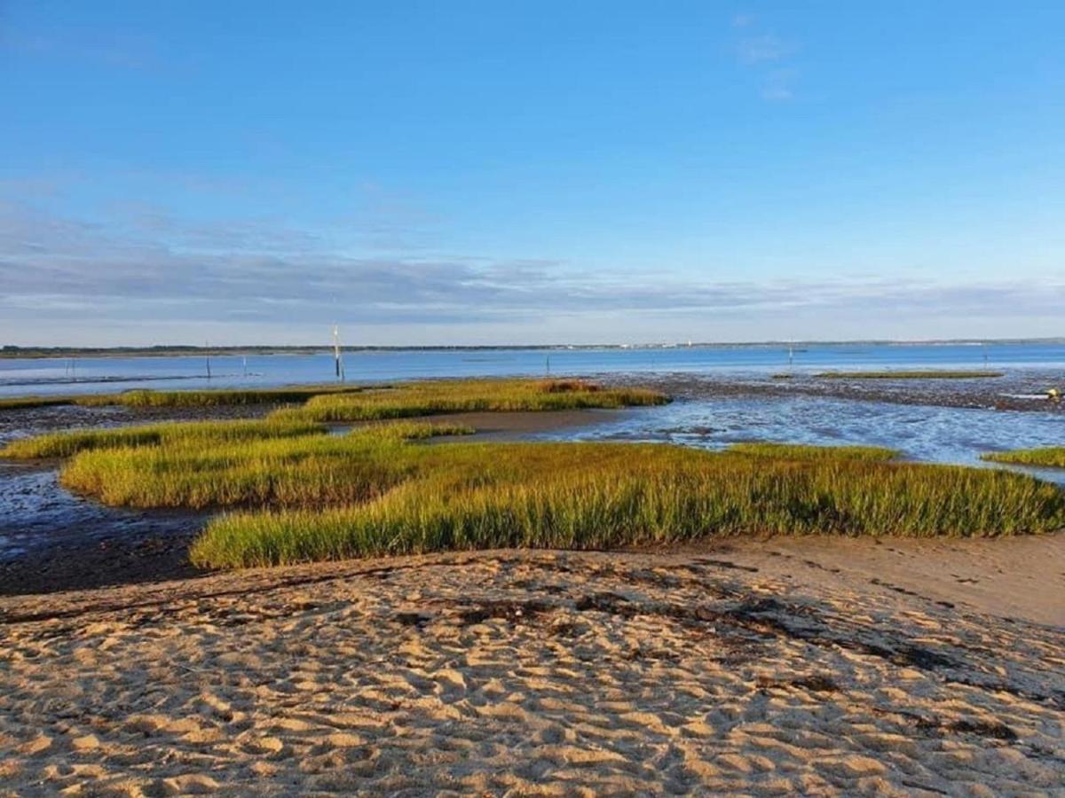 Au Coeur Du Bassin D'Arcachon,Tres Bel Appartement Avec Terrasse أودينج المظهر الخارجي الصورة