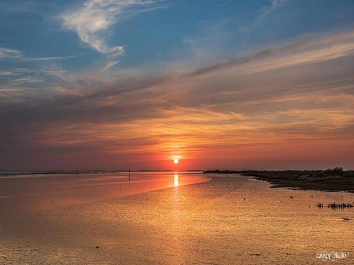 Au Coeur Du Bassin D'Arcachon,Tres Bel Appartement Avec Terrasse أودينج المظهر الخارجي الصورة
