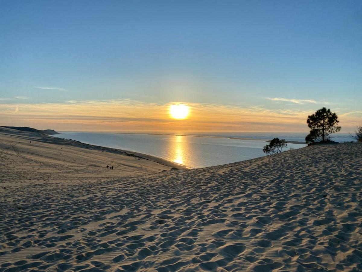 Au Coeur Du Bassin D'Arcachon,Tres Bel Appartement Avec Terrasse أودينج المظهر الخارجي الصورة